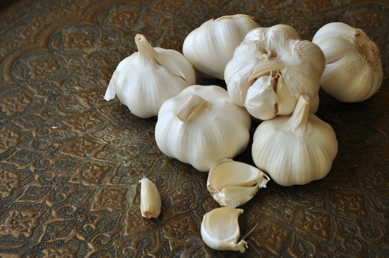 garlic2-785x521