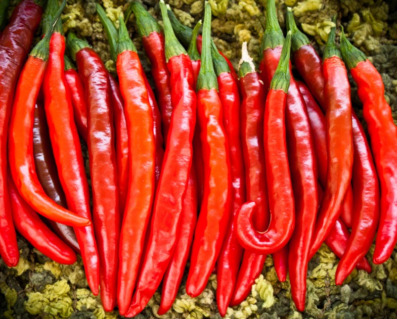 cayenne-pepper-lineup-photo-785x631